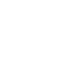 Primary Raster logo